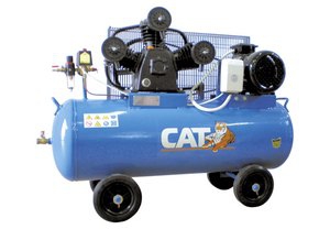 Компрессор CAT W65-100